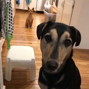 Meet your Posher, Kimberly